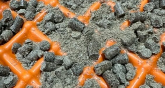 Cold pressed dog food in a container