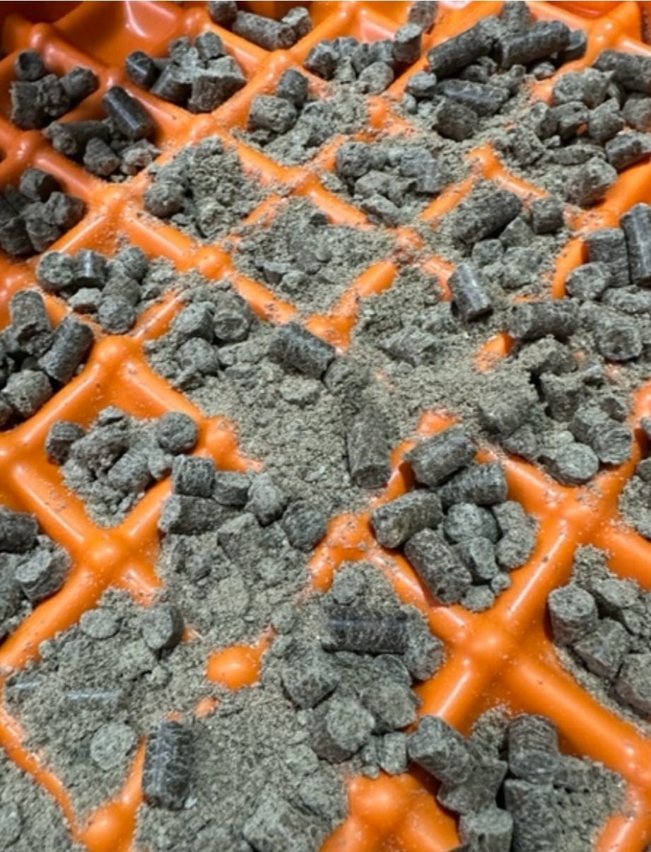 Cold pressed dog food in a container